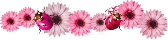 Divider-coccinelles-roses.gif